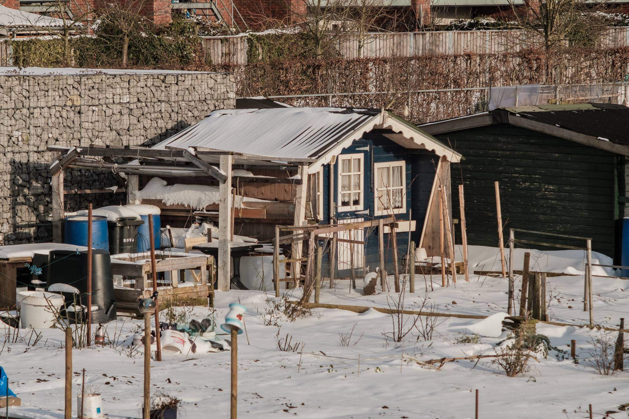 Mitchel Lensink de lens photography project winter allotment