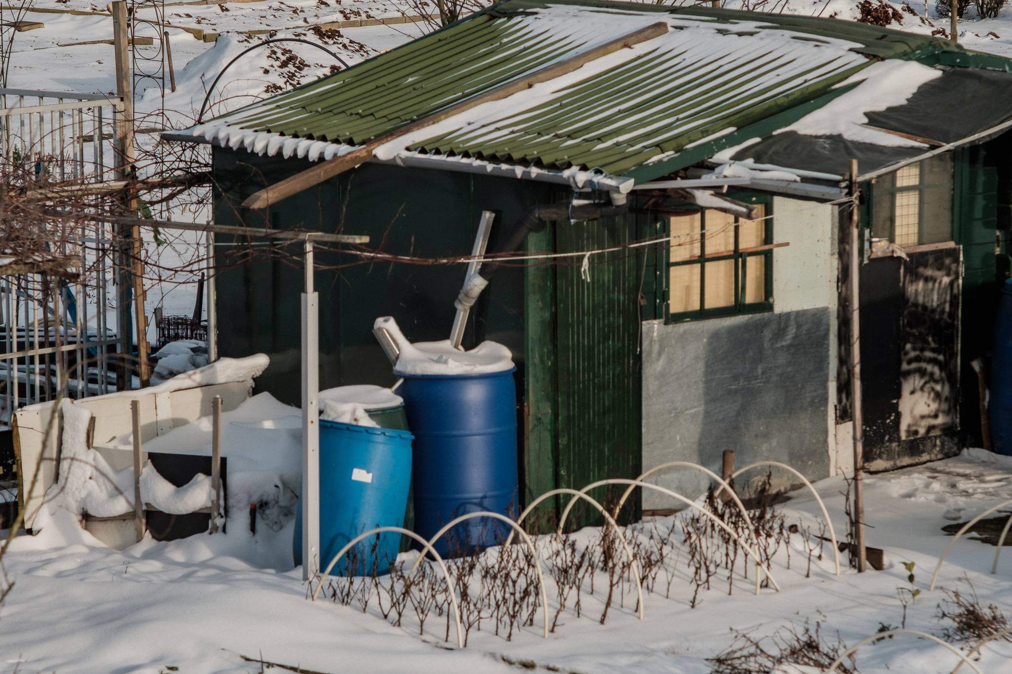 Mitchel Lensink de lens photography project winter allotment