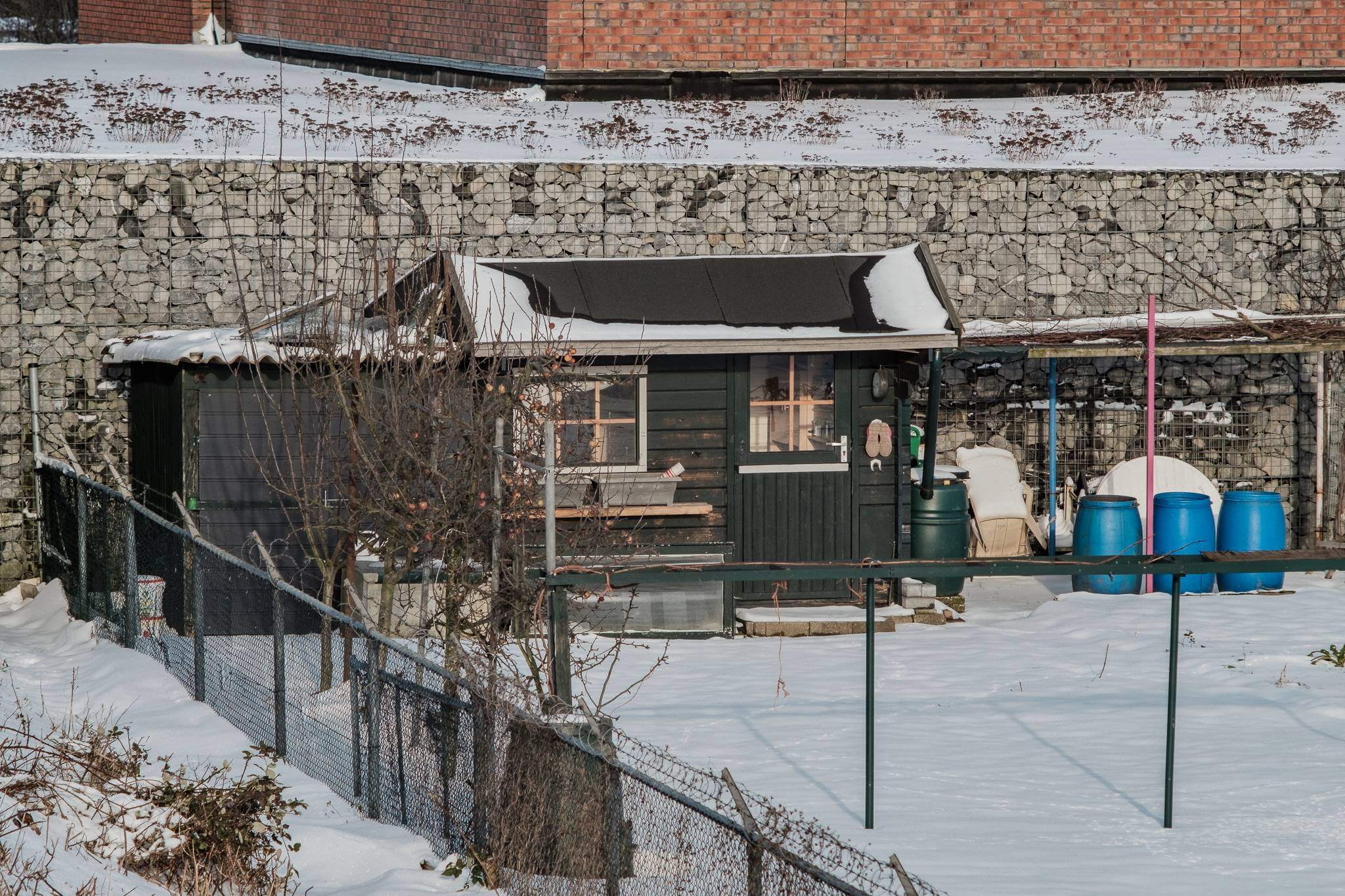 Mitchel Lensink de lens photography project winter allotment