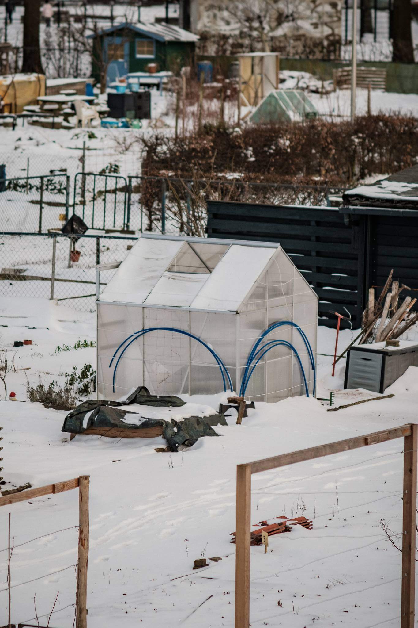 Mitchel Lensink de lens photography project winter allotment