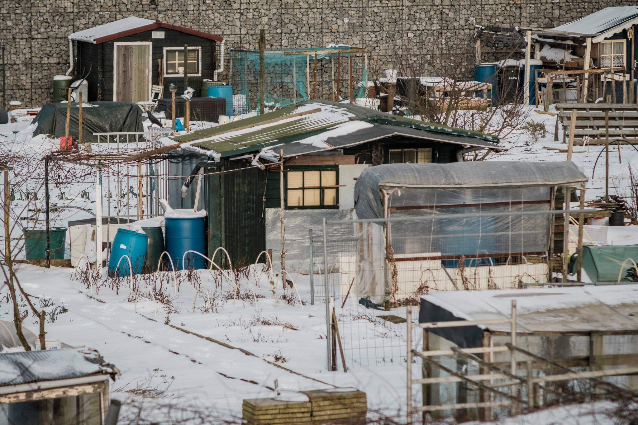 Mitchel Lensink de lens photography project winter allotment