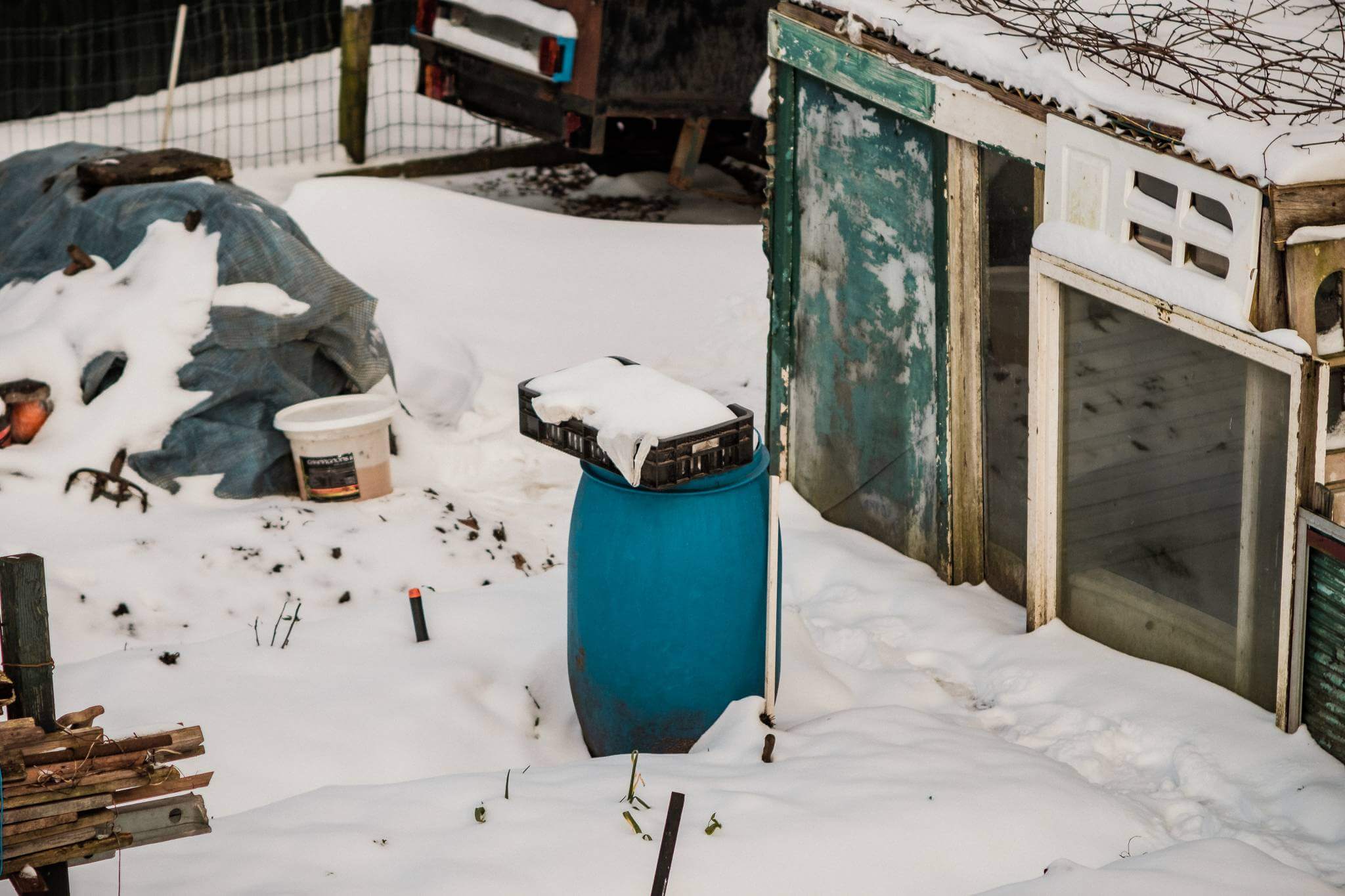 Mitchel Lensink de lens photography project winter allotment