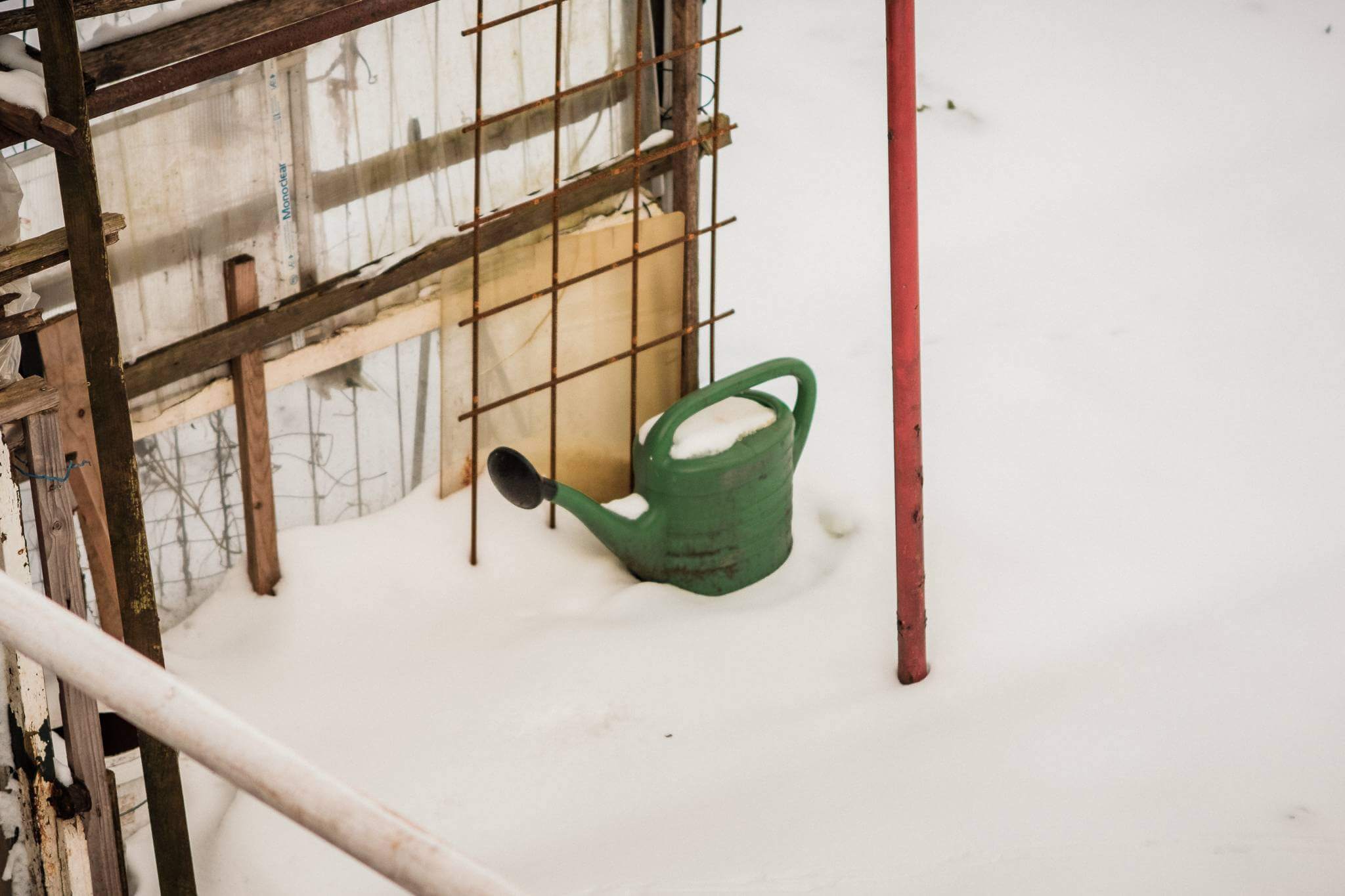 Mitchel Lensink de lens photography project winter allotment