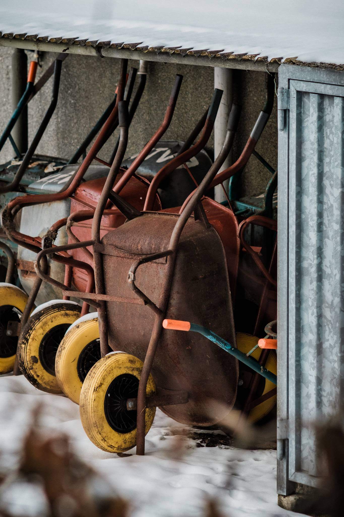 Mitchel Lensink de lens photography project winter allotment