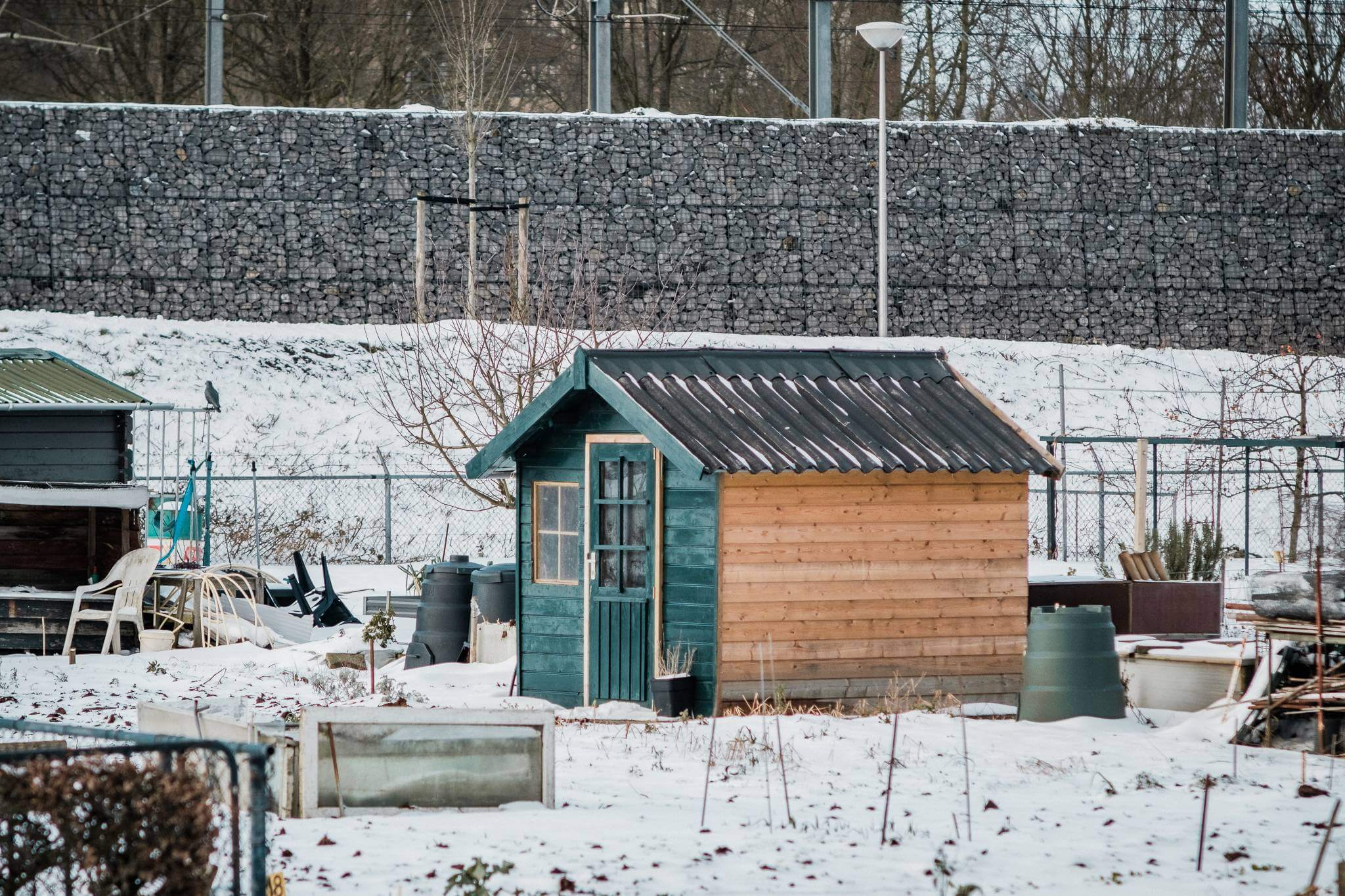 Mitchel Lensink de lens photography project winter allotment