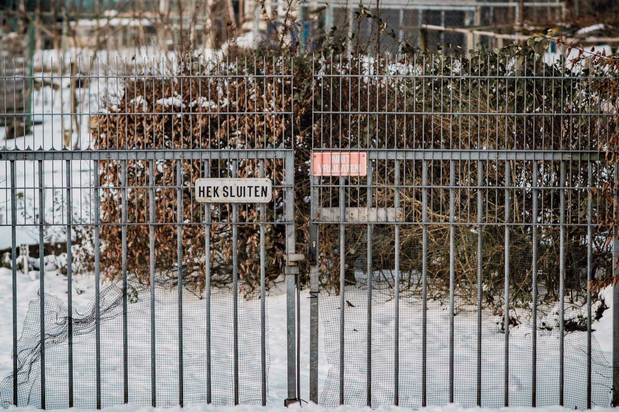 Mitchel Lensink de lens photography project winter allotment