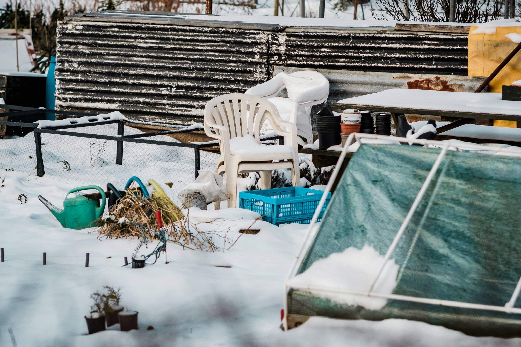 Mitchel Lensink de lens photography project winter allotment