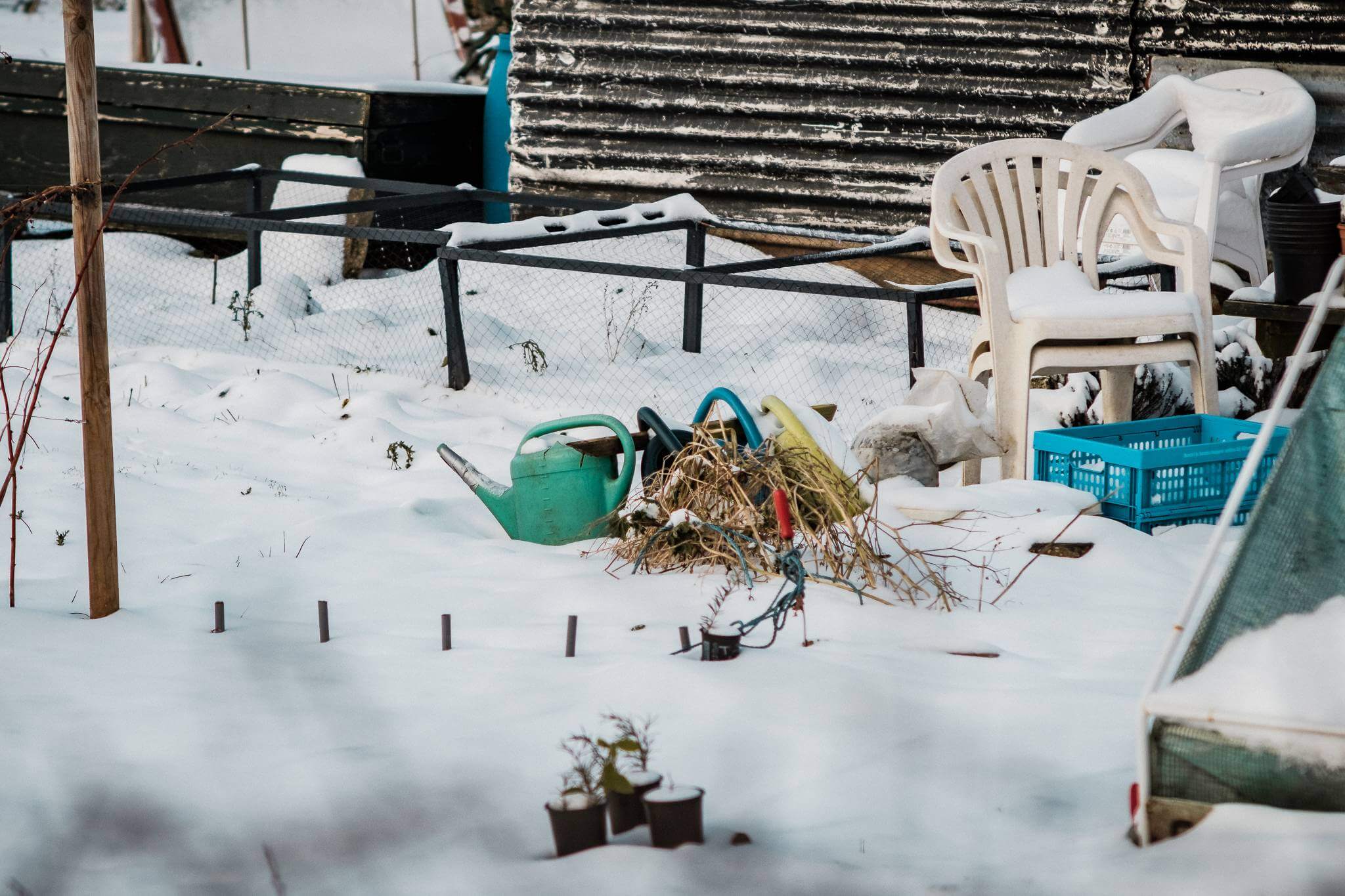 Mitchel Lensink de lens photography project winter allotment