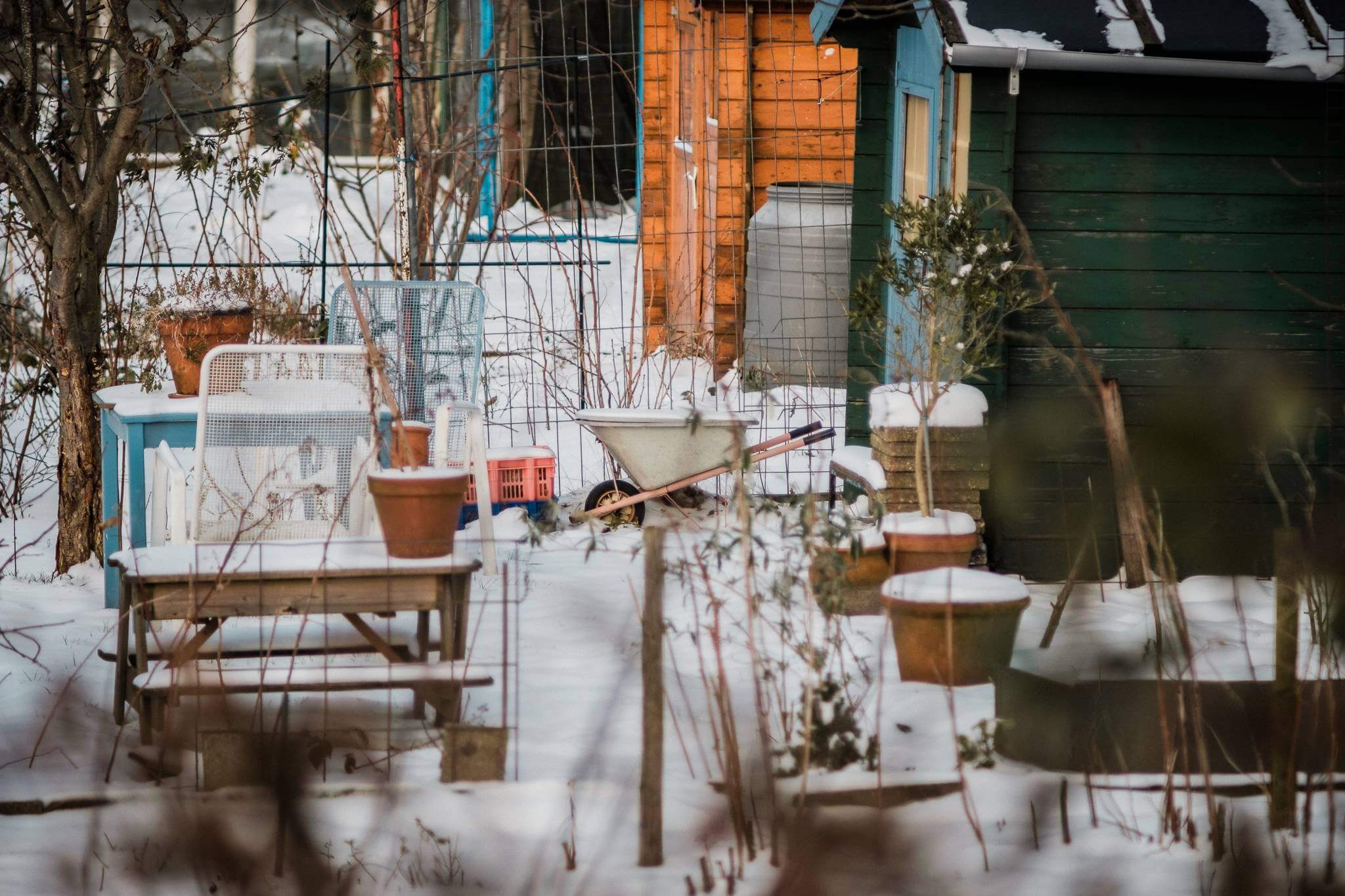 Mitchel Lensink de lens photography project winter allotment