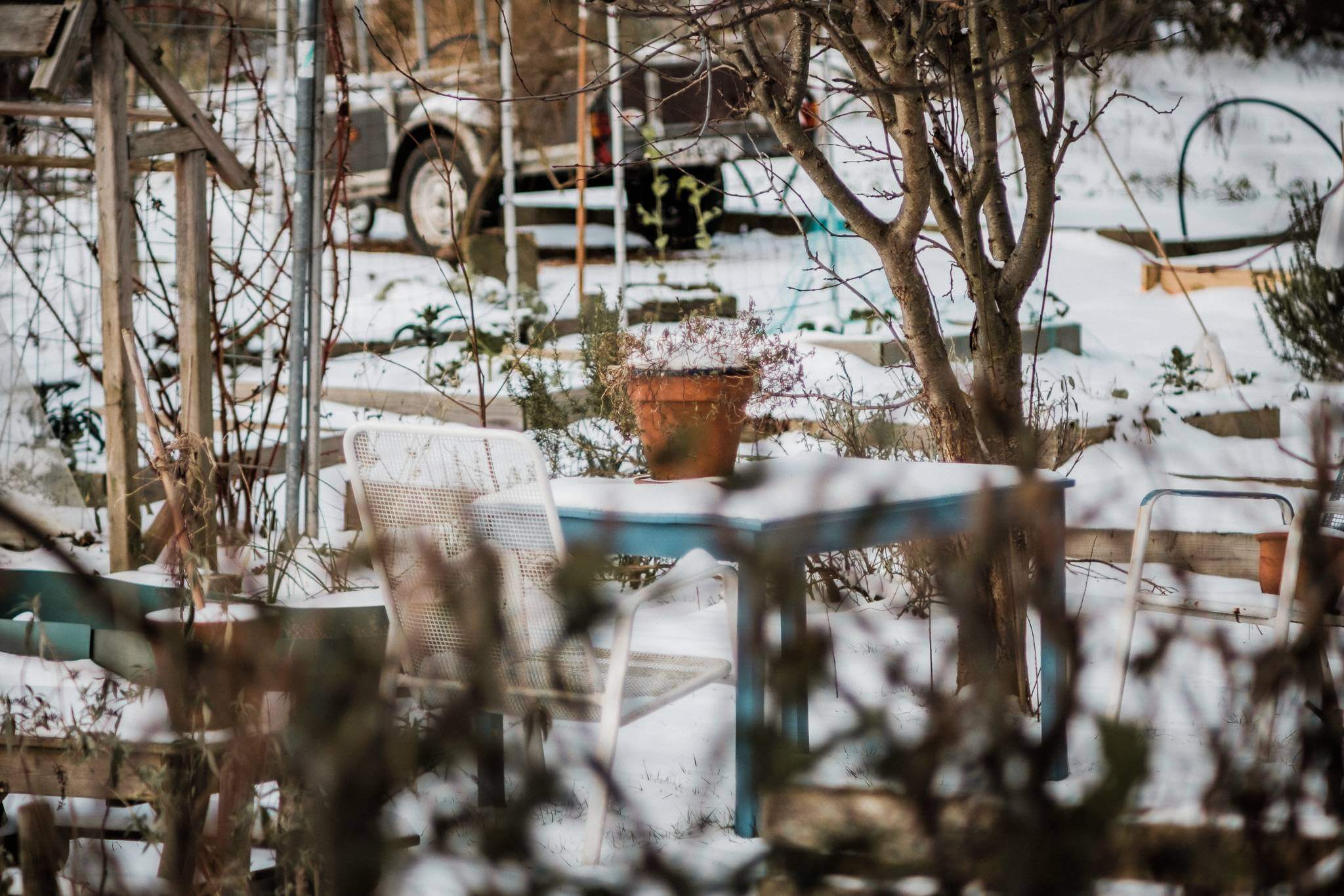 Mitchel Lensink de lens photography project winter allotment