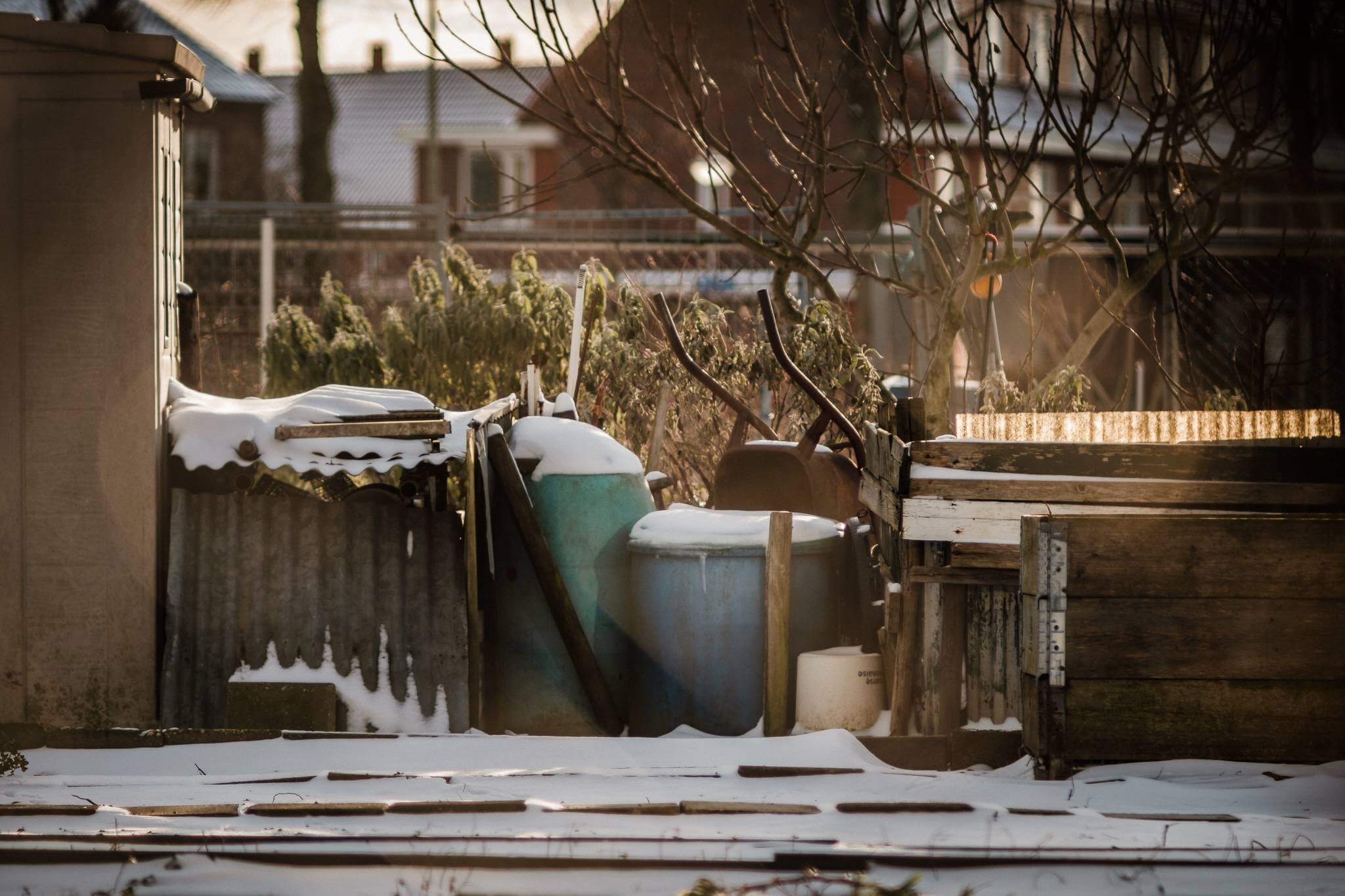 Mitchel Lensink de lens photography project winter allotment