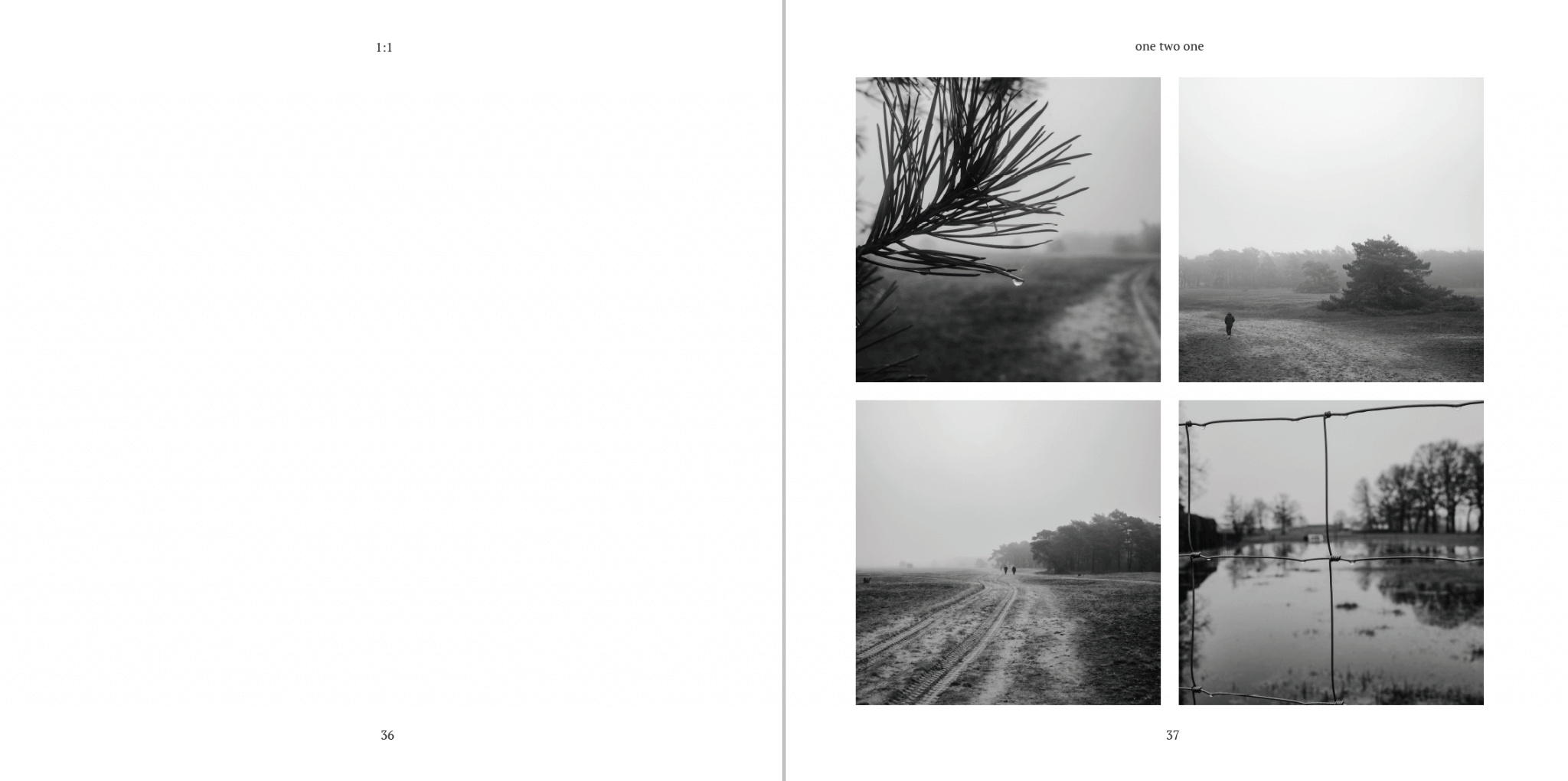 Mitchel Lensink de lens photography project one two one book