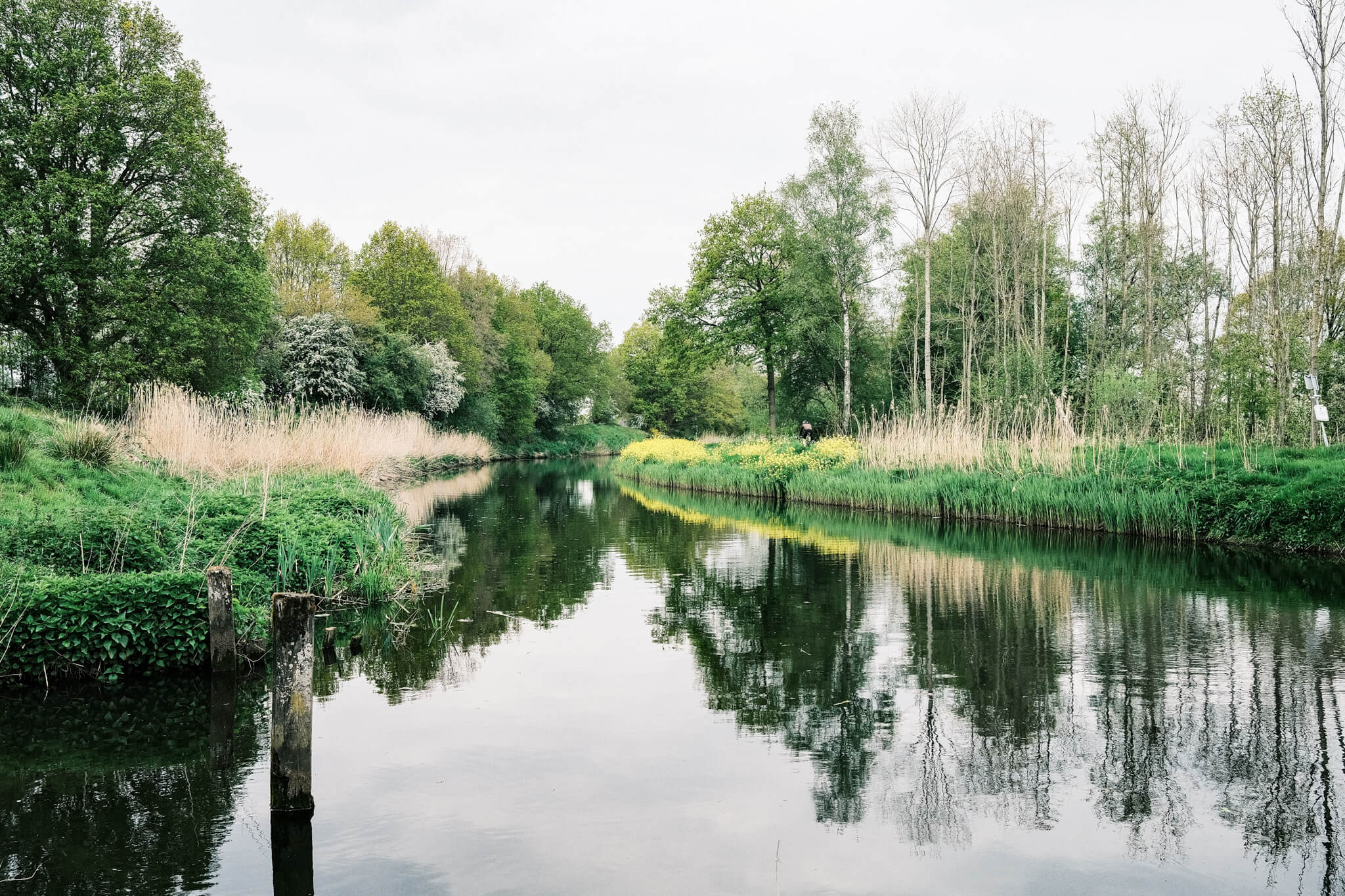 A landscape photo of the lush green nature along the Grebbeline