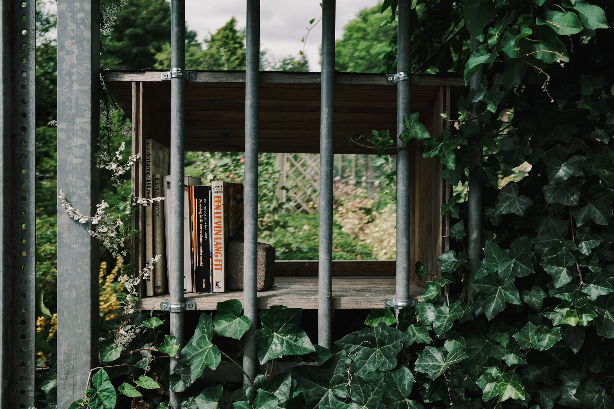 a photo of a free mini library on the side of the street