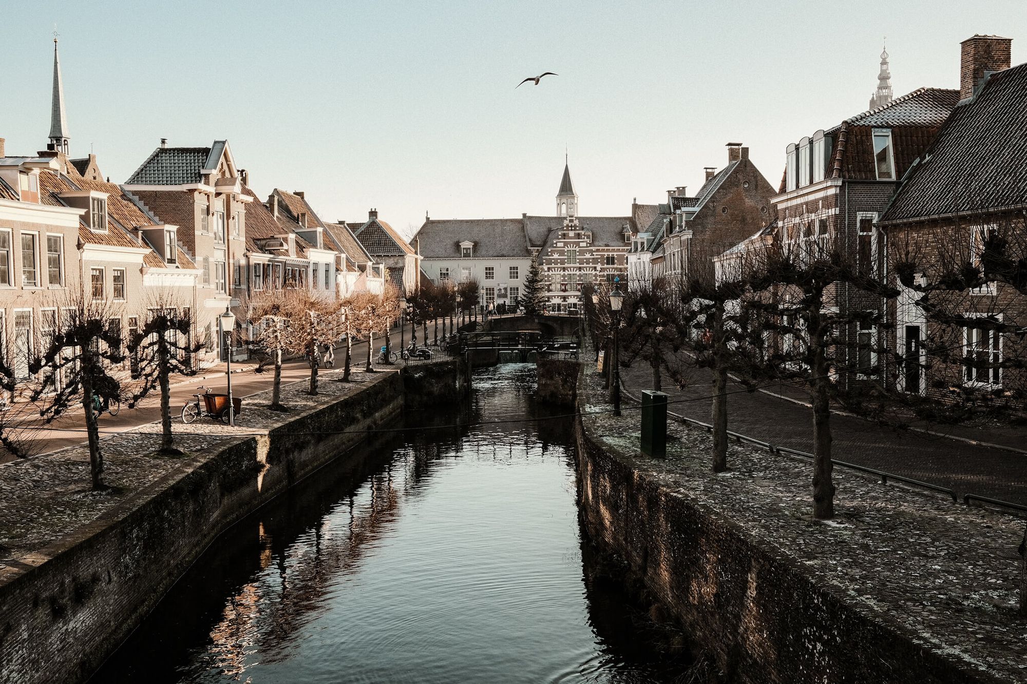 A bird flying over the old canals of Amersfoort