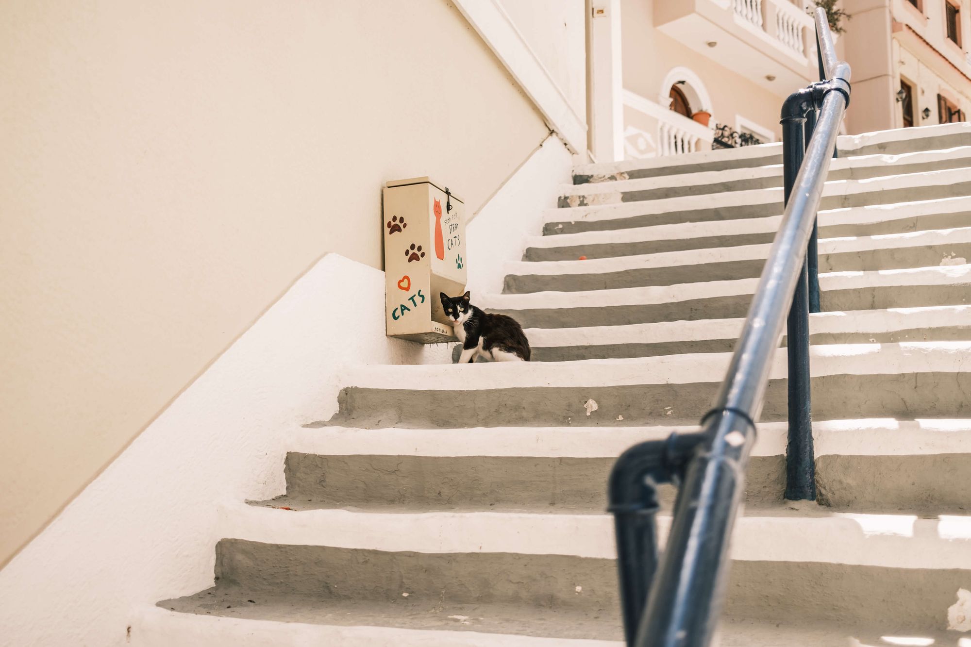 Photo essay: Karpathos in between