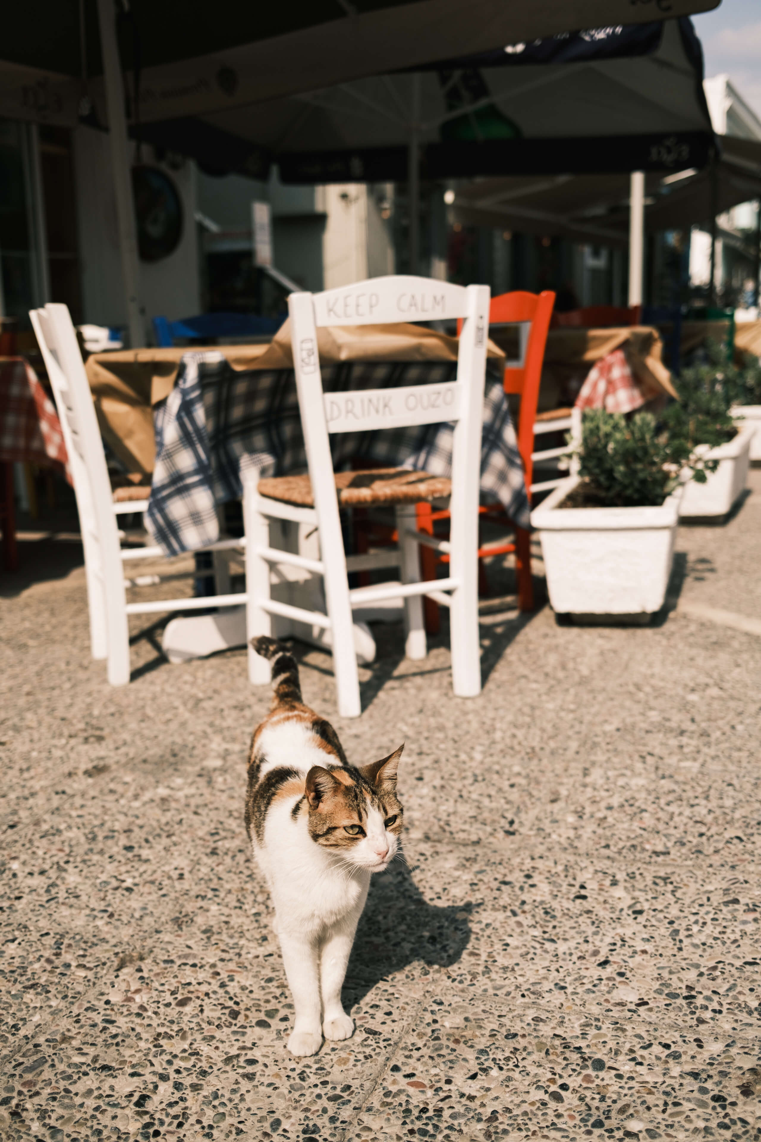 Photo essay: Karpathos in between