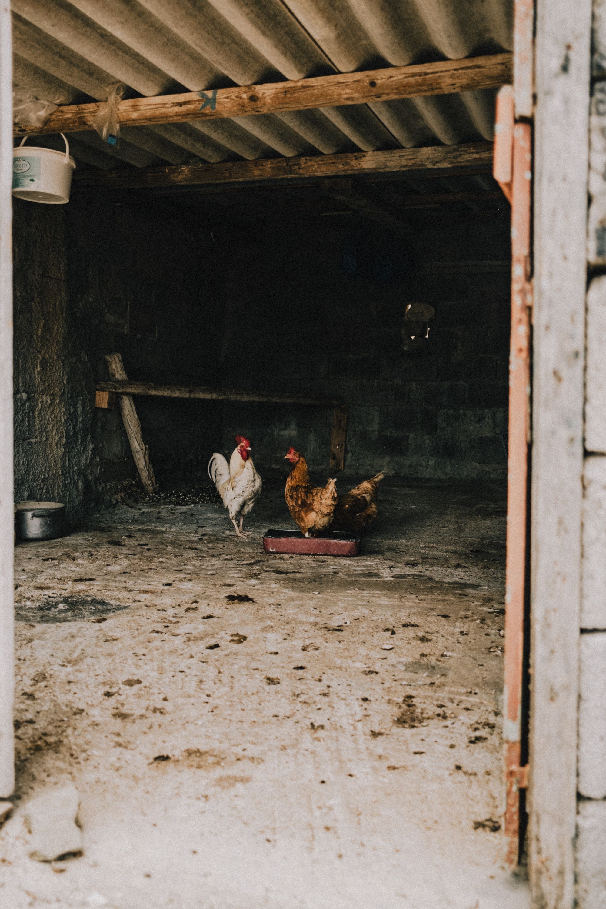 Photo essay: Karpathos in between