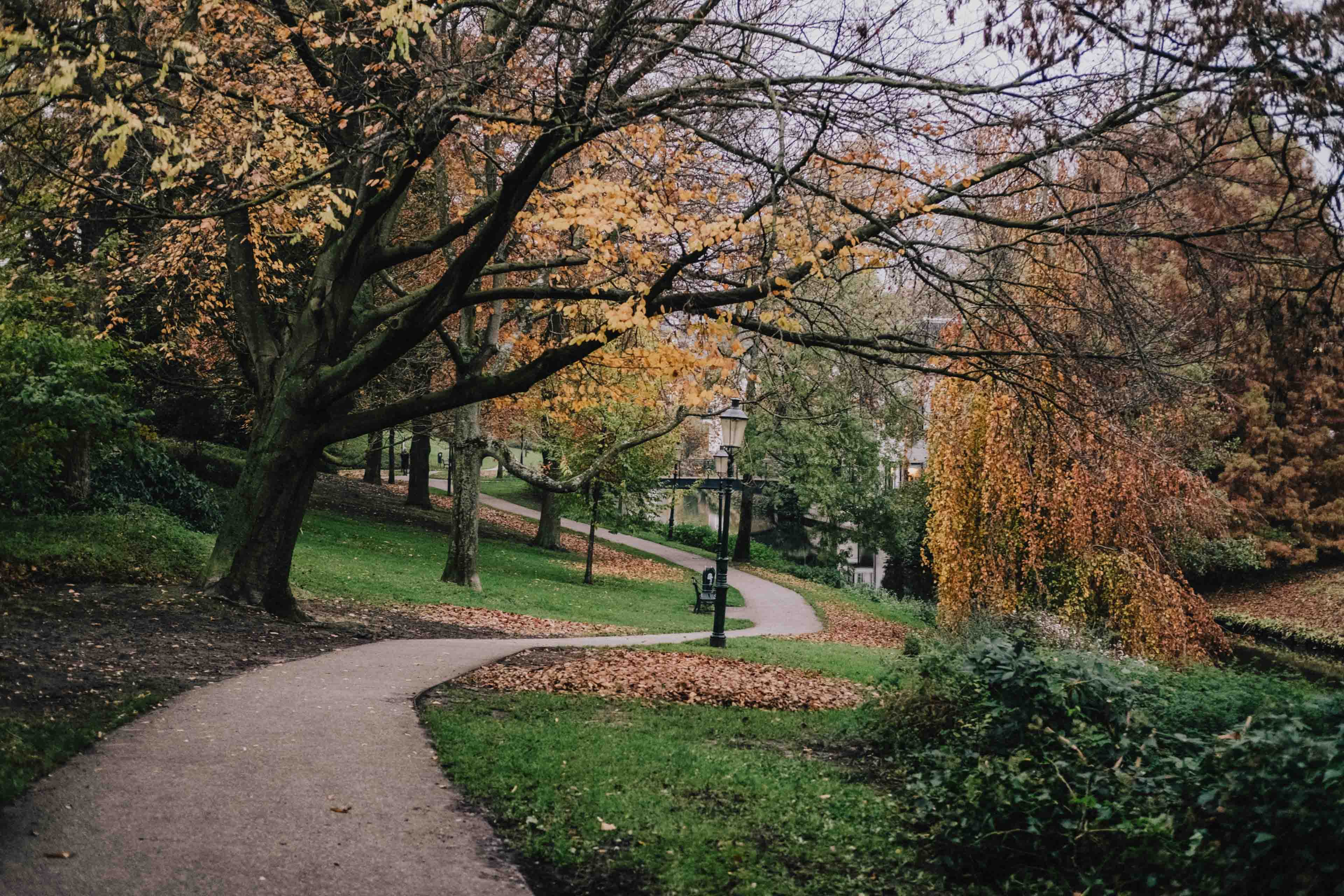 The glorious, life-invigorating act of walking