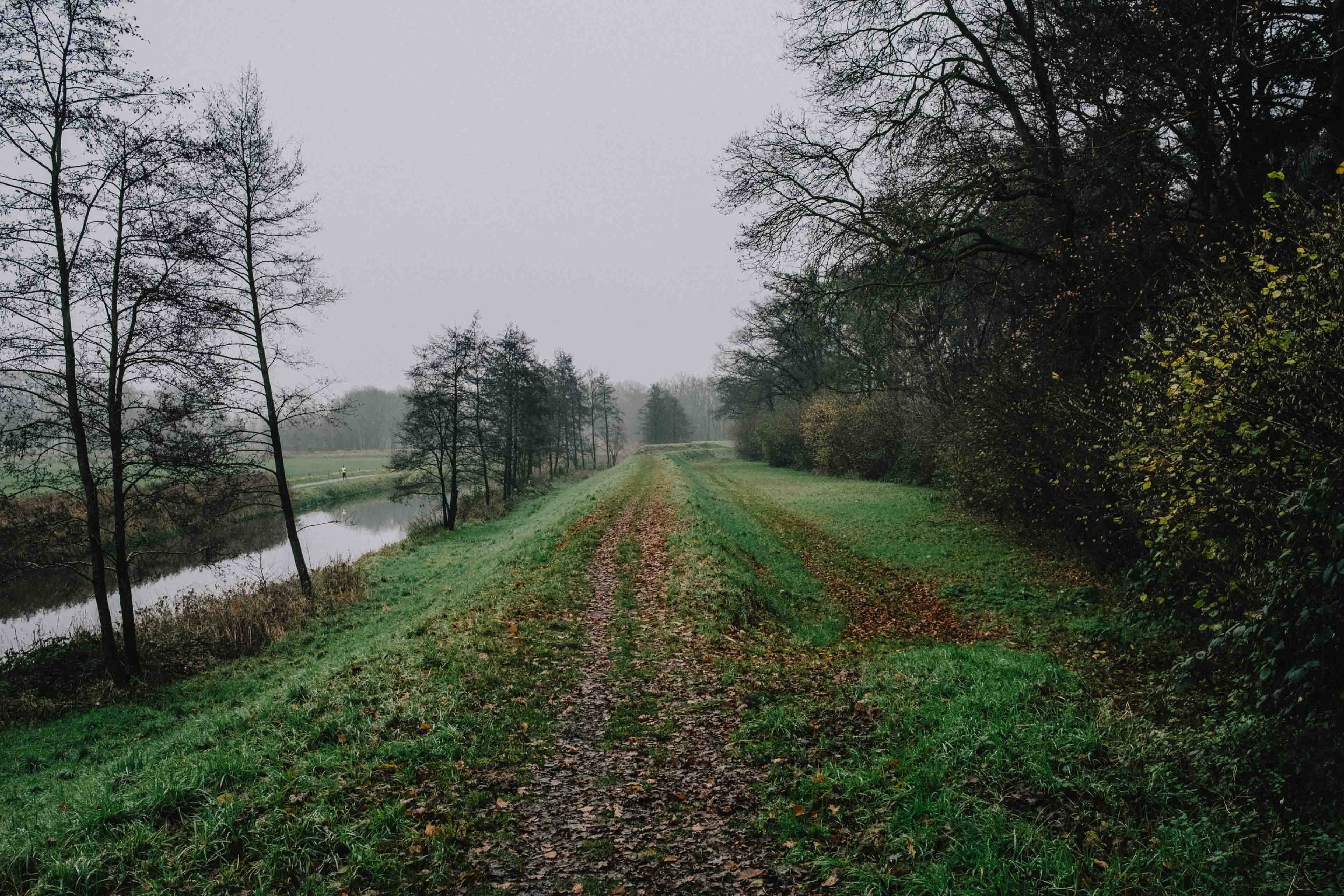 The glorious, life-invigorating act of walking