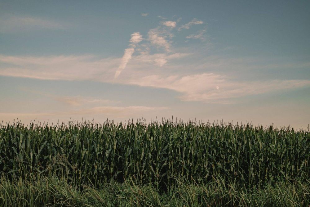 the silence around photography project by Mitchel Lensink